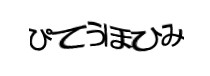 Authentication image